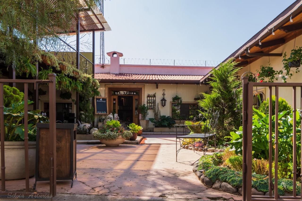 Acanthus Boutique Hotel Quetzaltenango Zewnętrze zdjęcie